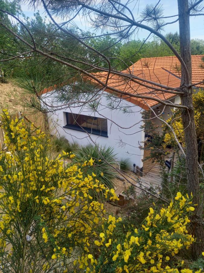Cot'& Dune - Lodge D'Hote & Spa De Nage Saint-Augustin  Exterior foto